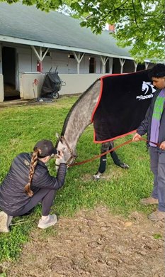 MyRacehorse experience manager Caitlin Dunne photographed 2024 Preakness Stakes winner Seize the Gray