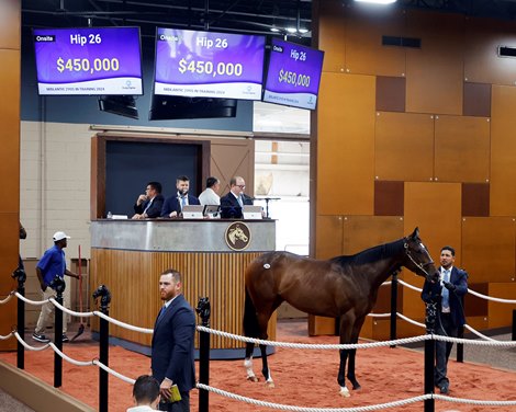 The petite Bolt d'Oro, consigned as Hip 026, at the Fasig-Tipton Sale at Midlantic