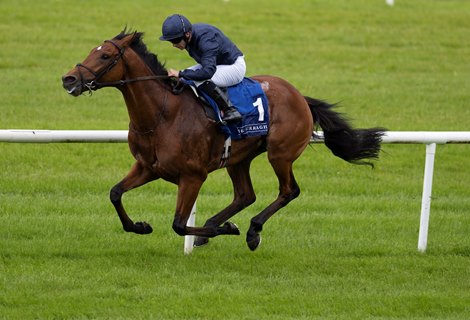 Chief Little Rock and Wayne Jordan wins the Gr.3 Gallinule Stakes.  The Curragh.<br>
Photo: Patrick McCann/Racing Post<br>
26.05.2024