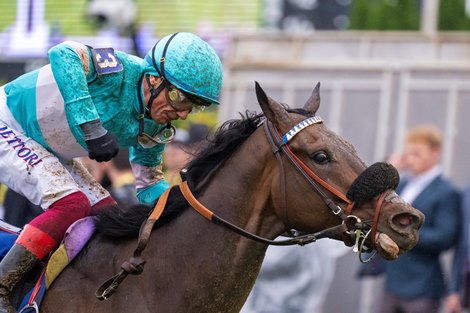 Balnikhov with Lanfranco Dettori wins the Dinner Party (G3) at Pimlico in Baltimore, MD, on May 18, 2024.
