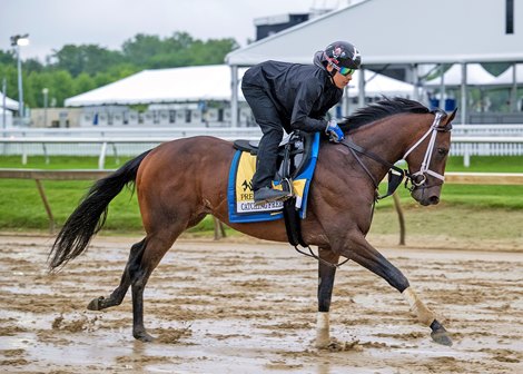 Catching Freedom, Pimlico, May 15 2024 Catching Freedom, Pimlico, May 15 2024