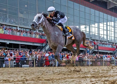 Seize the Grey wins the Preakness Stakes on Saturday, May 18, 2024 at Pimlico