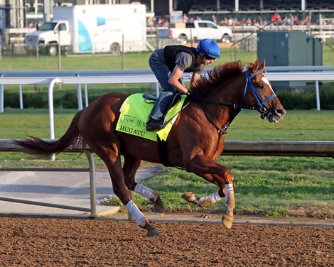 Mugatu with Joe Talamo on the track at Churchill Downs on May 1, 2024. Photo By: Chad B. Harmon