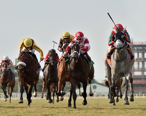 Gabaldon wins the 2024 Royal Palm Juvenile Stakes at Gulfstream Park