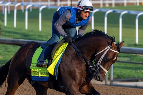 KY Derby Catching Freedom gallops at Churchill Downs Thursday May 2, 2024 in Louisville, KY. Photo by Skip Dickstein