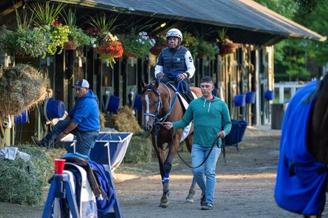 2024 Kentucky Derby winner Mystik Dan returns to the barn after working on the Oklahoma Training Track Saturday, June 1, 2024 in Saratoga Springs, NY in preparation for the 2024 Belmont Stakes to be held held at the historic Saratoga Race Course on Saturday, June 8 for the first time in history Photo by Skip Dickstein