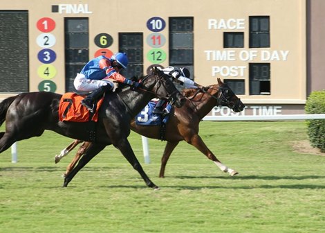 Agent Peter Graves wins the 2024 Grand Prairie Turf Sprint Stakes at Lone Star