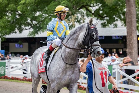 The Grey Wizard wins the 2024 Belmont Gold Cup at Saratoga Race Course