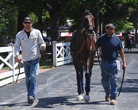 Honor Marie, Saratoga, June 5 2024