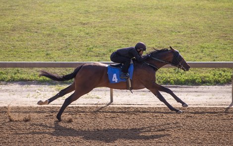 Hip 4, 2024 Fasig-Tipton Midlantic June two-year-olds in training sale