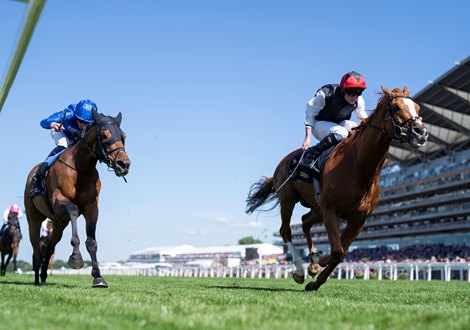 Kyprios (Ryan Moore) beats Trawlerman in The Gold Cup<br>
Ascot 20.6.24 Pic: Edward Whitaker