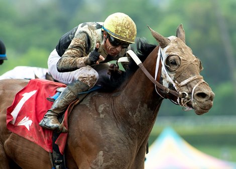 Jaime Renella&#39;s home-bred Chismosa and jockey Tiago Pereira win the $100,000 Desert Stormer Stakes Sunday, June 2, 2024 at Santa Anita Park, Arcadia, CA.<br><br />
Benoit Photo