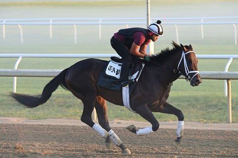 Mindframe, Saratoga, June 5 2024