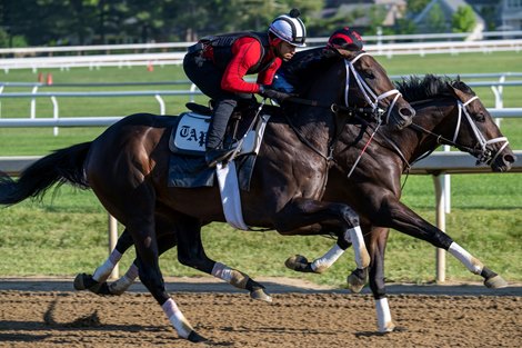 Mindframe (left) works in company with Protective on the Oklahoma Training Track Saturday June 1, 2024 in Saratoga Springs, N.Y.  in preparation for the 2024 Belmont Stakes which will be held at the historic Saratoga Race Course Saturday June 8th for the first time in history  Photo by Skip Dickstein