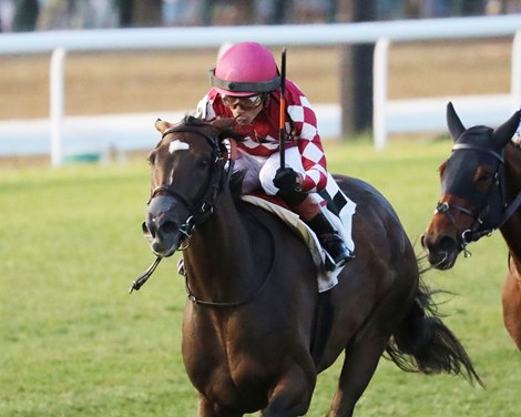 Webslinger wins the 2024 Chorleywood Overnight Stakes at Churchill Downs