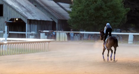 Thorpedo Anna warms up in the early morning mist on the Oklahoma Training Track Saturday June 1, 2024 in Saratoga Springs, N.Y.  in preparation for the Acorn which will be held at the historic Saratoga Race Course June 7th for the first time in history  Photo by Skip Dickstein