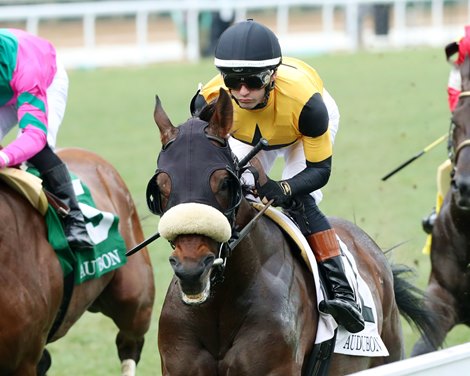 Cugino wins the 2024 Audubon Stakes at Churchill Downs