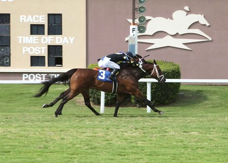 What Say Thee wins the 2024 Texas Turf Classic Stakes at Lone Star