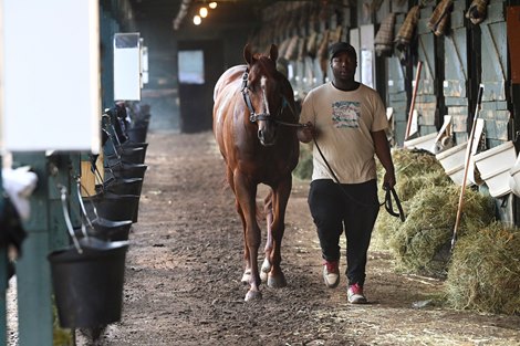 The Wine Steward, Saratoga, June 5 2024