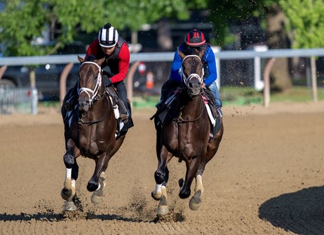 Mindframe (left) works in company with Protective on the Oklahoma Training Track Saturday June 1, 2024 in Saratoga Springs, N.Y.  in preparation for the 2024 Belmont Stakes which will be held at the historic Saratoga Race Course Saturday June 8th for the first time in history  Photo by Skip Dickstein