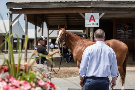 Scenic, 2024 Fasig-Tipton Midlantic June Two-Year-Olds in Training Sale