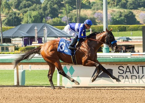 Parenting and jockey Juan Hernandez win the $100,000 Affirmed Stakes, Sunday, June 9, 2024 at Santa Anita Park, Arcadia CA.<br>
© BENOIT PHOTO