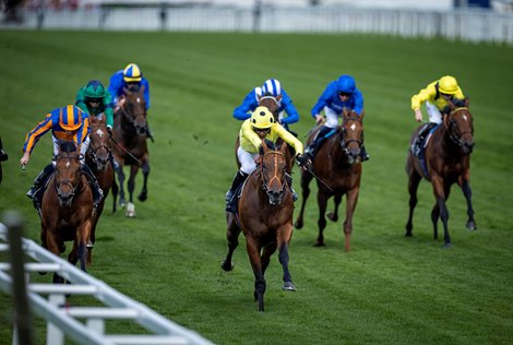 Rosallion and Sean Levey winning the St Jame’s Palace Stakes Gr.1.<br>
Royal Ascot day 1.<br>
Photo: Patrick McCann/Racing Post<br>
17.06.2024