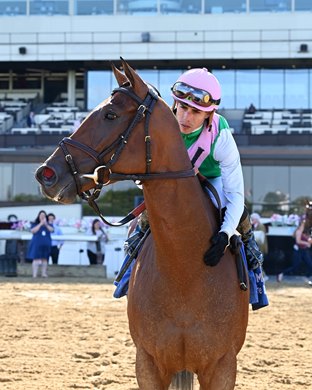 Accede wins the Bed o&#39; Roses Stakes on Saturday, June 15, 2024 at Belmont at the Big A