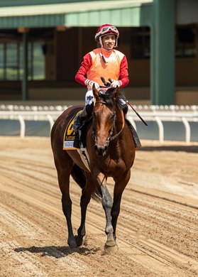 Six-year-old Brazilian-bred Planetario and jockey Hector I. Berrios, outside,  win the Grade III $100,000 San Juan Capistrano Stakes Sunday, June 16, 2024 at Santa Anita Park, Arcadia, CA, setting a new course record of 2:46.95 for the 1 3/4 miles on the turf, breaking his own record (2:48.08) he set as a 5-year-old in last year’s running of the San Juan Capistrano.<br>
Benoit Photo
