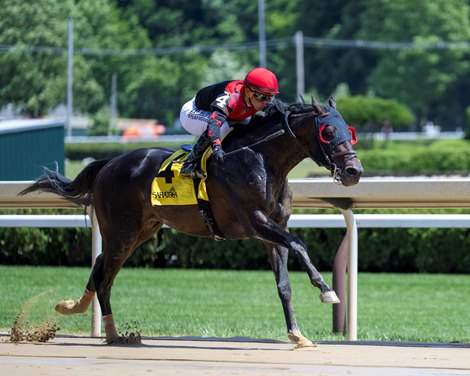 Doc Sullivan with Javier Castellano won the Mike Lee New York Showcase during the Belmont Stakes at Saratoga in Saratoga Springs, N.Y., on June 9, 2024.