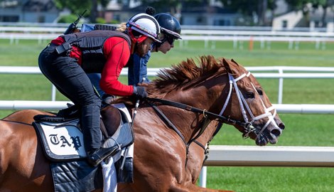 Antiquarian works on the Oklahoma Training Track Saturday June 1, 2024 in Saratoga Springs, N.Y.  in preparation for the 2024 Belmont Stakes which will be held at the historic Saratoga Race Course Saturday June 8th for the first time in history  Photo by Skip Dickstein