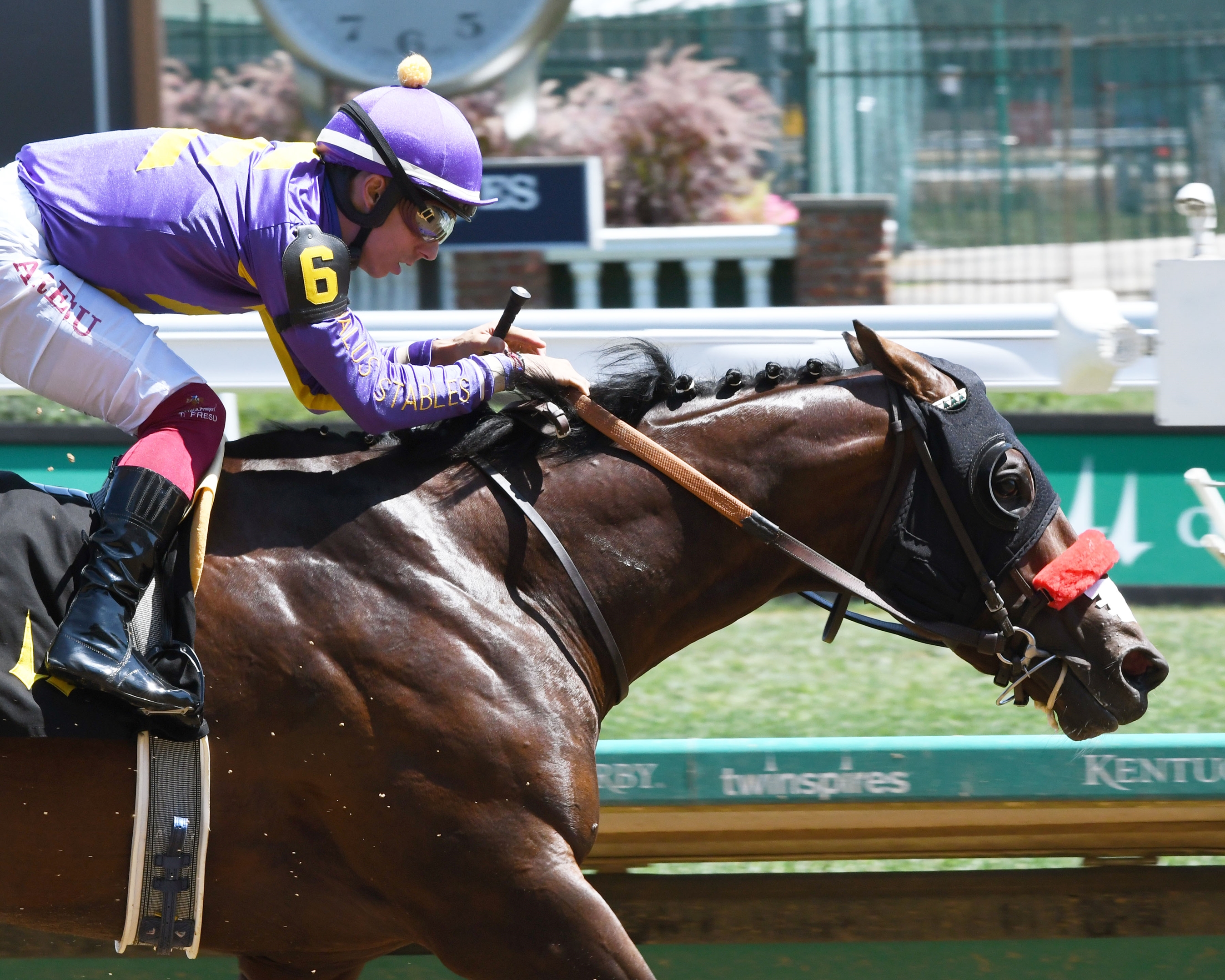 My Mane Champ | Second Stride Inc.