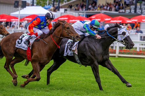 I Wish I Win wins the 2024 Kingsford Smith Cup at Eagle Farm<br>
ridden by Luke Nolan and trained by Peter Moody & Katherine Coleman