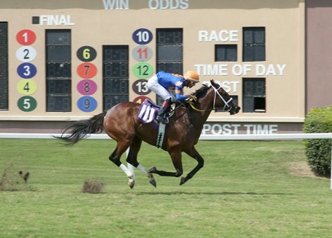 Libban wins the 2024 Wasted Tears Stakes at Lone Star
