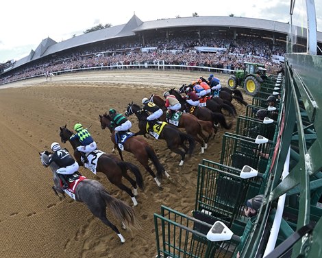 Dornoch wins the 2024 Belmont Stakes at Saratoga Race Course
