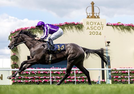 Bedtime Story and Ryan Moore easily winning the Chesham Stakes<br><br />
Royal Ascot day 5.<br><br />
Photo: Patrick McCann/Racing Post<br><br />
22.06.2024