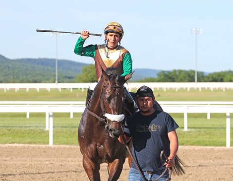 Stern Chaser #1 with Paco Lopez riding wins the $100,000 Lyphard Stakes at Penn National Racecourse on Friday May 31, 2024.  Photo By Bill Denver/EQUI-PHOTO