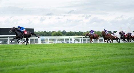 Ruling Court (William Buick) wins the 7f maiden<br><br />
Sandown 25.7.24 Pic: Edward Whitaker