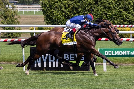 Trikari wins the 2024 Belmont Derby Invitational Stakes at Aqueduct Racetrack