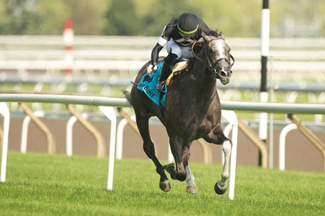 Sahin Civaci leads Time to Dazzle to victory in the $135,000 Ontario Colleen Stakes. Time to Dazzle is owned by Tracy Farmer and trained by Mark Casse. Photo by Woodbine/Michael Burns