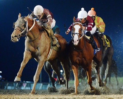 Red Route One wins the 2024 Prairie Meadows Cornhusker Handicap at Prairie Meadows