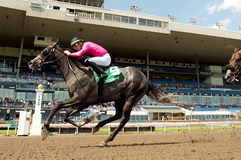 Jockey Sahin Civaci guides My Boy Prince to victory in the $150,000 Plate Trial Stakes at Woodbine for owner Gary Barber and trainer Mark Casse. Woodbine/ Michael Burns Photo