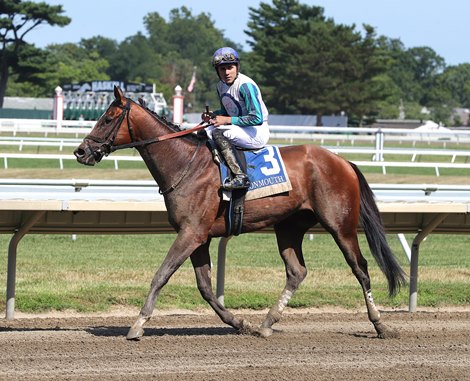 Book'em Danno #3 with Samuel Marin riding won the $100,000 Jersey Shore Stakes at Monmouth Park Racetrack in Oceanport, NJ on Friday, July 19, 2024. Photo by Bill Denver/EQUI-PHOTO