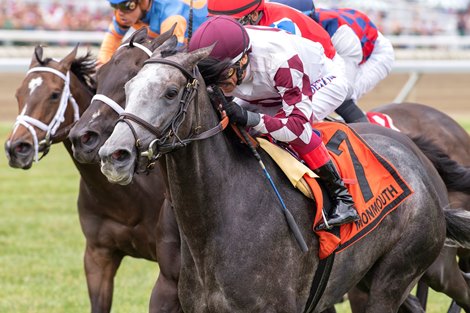 Beaute Cachee #7 with Lanfranco Dettori riding won the $300,000 G3T WinStar Matchmaker Stakes at Monmouth Park Racetrack in Oceanport, NJ on Saturday, July 20, 2024. Photo by Joe Labozzetta/EQUI-PHOTO