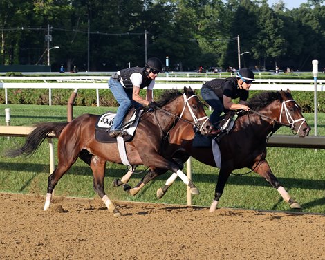 Fierceness (outside), Emmanuel, Saratoga, July 13 2024