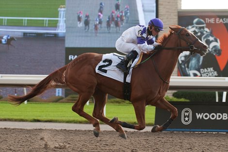 Pitching Fast, CLM, Woodbine, October 31 2021