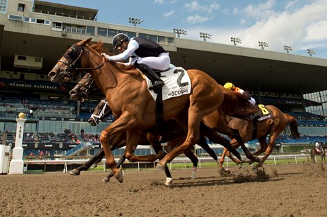 Jockey Sahin Civaci guides Solo Album to victory in the(Grade III)  $135,000 Trillium Stakes presented by Don Julio at Woodbine. Solo Album is owned by Gary Barber and Eclipse Thoroughbreds Partners and Steven Rocco and trained by Mark Casse. Woodbine/ Michael Burns Photo