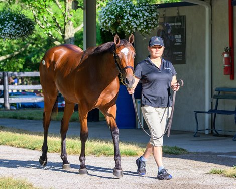 Hip 33 filly by Basin out of Glamour N Glory at Gainesway, agent<br>
Fasig-Tipton HORA and The July sale for racing age and yearlings at Fasig-Tipton in Lexington, Ky.