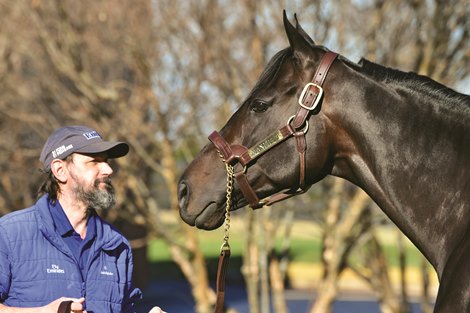 December 3, 2021: Maxfield at Darley Rick Samuels/The Blood-Horse