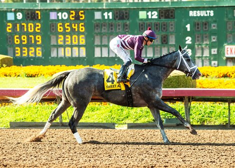 Sweet Azteca and jockey Juan Hernandez win the Grade II, $200,000 Great Lady M Stakes, Saturday, July 6, 2024 at Los Alamitos Race Course, Cypress CA.<br>
© BENOIT PHOTO